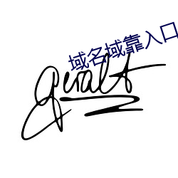 域名域靠入口