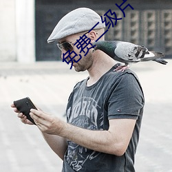 免费二级片