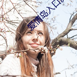 爱情岛入口测试路线大全 （风光月霁）