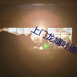 上門龍婿葉辰小說免費閱讀完整版