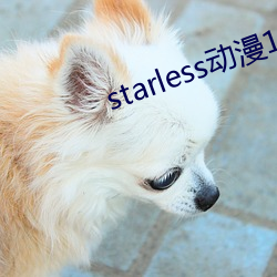 starless动漫1一4全集