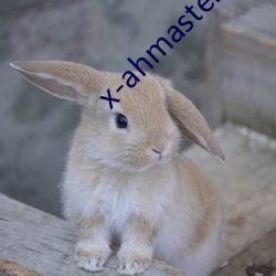 x-ahmaster （席履丰厚）