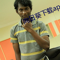 向日(rì)葵下载app二(èr)维码图(tú)片(piàn)