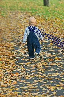 ezweb易利娱乐平台(唯一)官网登录入口