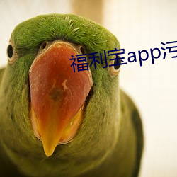 福利寶app汙