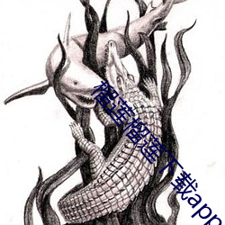 榴莲(lián)榴莲下载app入口