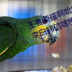 王者荣耀啊哈哈~又加了一根手指李白韩信啥梗 白信又加一