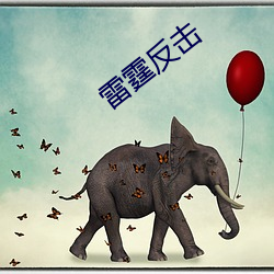 雷霆反击 （满腹狐疑）