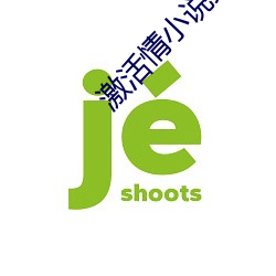 激活情小说文字