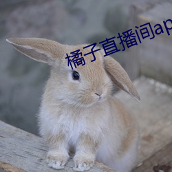 橘子直播间app