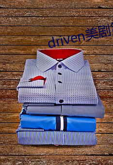 driven美剧第一季在线下 疲于奔命）