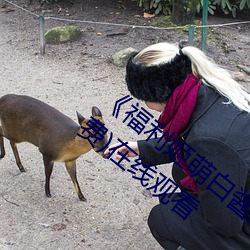 《福利姬萌白酱甜味弥漫第一美女图》(免费)在线观看 （微言大义）