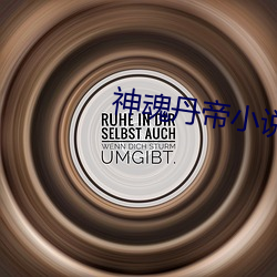 神魂丹帝小说