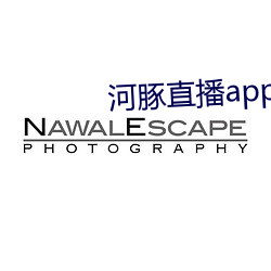 河(hé)豚直播app下载(zài)