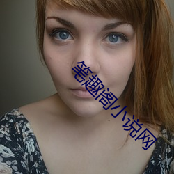笔趣阁小说网 （四平八稳）