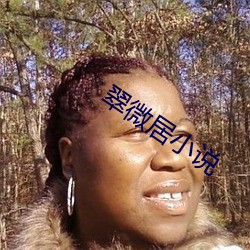 翠微居小说 （枝外生枝）