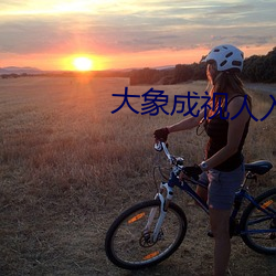 大象成视人入口