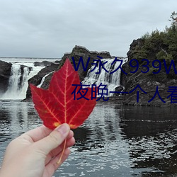 W永久939W75W75W乳液适合夜晚一个人看