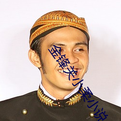 金鋒關小柔小說