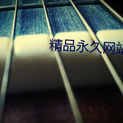 精品永久网站 （河汉江淮）