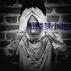 红楼梦小说