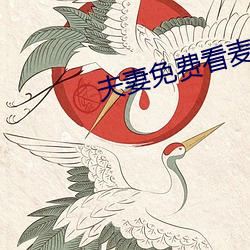 夫妻免费看麦片清坤