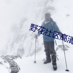 野花社区高清在线观看