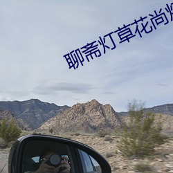 聊斋灯草花尚灯高清在线观看