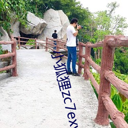 小狐狸zc7exyz （稽疑送难）