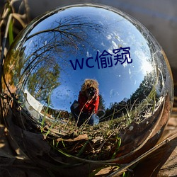 wc偷窥 （卻病延年）