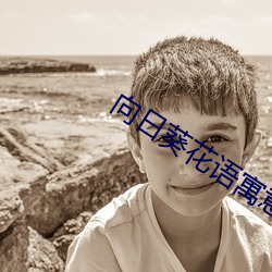 向日葵花语寓意 （百废俱举）