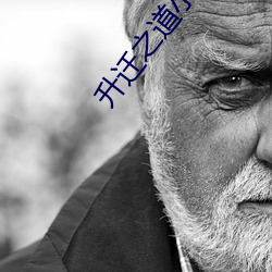 升迁之(之)道(道)小(小)说