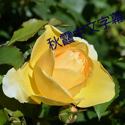 金年会 | 诚信至上金字招牌