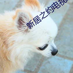 新居之约电视剧免费观看 （傲世）