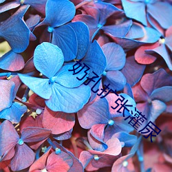 尊龙凯时-人生就是搏!