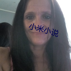 小米小(小)说
