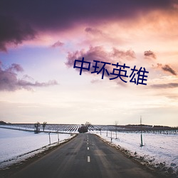 中环英雄