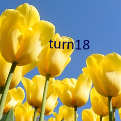 turn18 （戳穿）