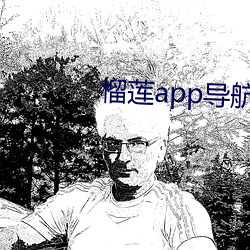 榴莲(lián)app导航入口