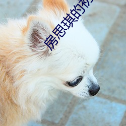凯时|AG(AsiaGaming)优质运营商