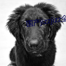 &#x54E5;&#21733;&#x7684;&#22899;&#x670B;&#21451;&#x626B;&#25551;&#x4E8C;&#32500;&#x7801;&#35266;&#x770B; - &#x4E0B;&#36733;&#x5BA2;&#25143;&#x7AEF;V4.4.9