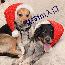 荔枝fm入口 （明证）