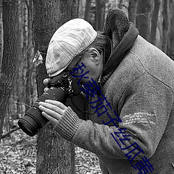 秋葵茄子丝瓜黄瓜榴莲大全 （存亡绝续）