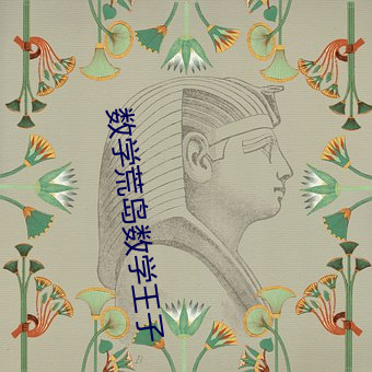 數學荒島數學王子