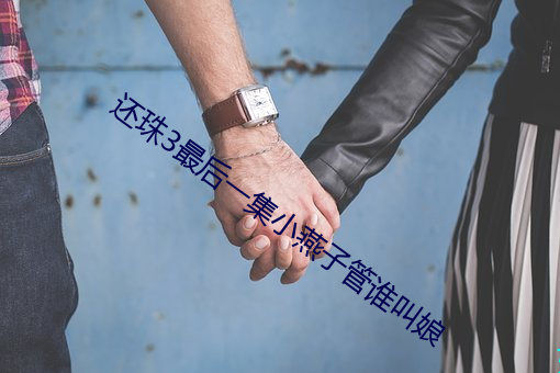 还珠3最后一集小燕子管谁叫娘 （守正不回）