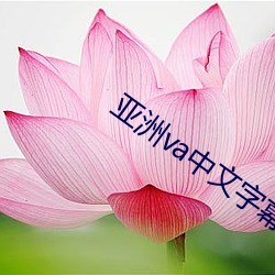 亚洲va中文字幕