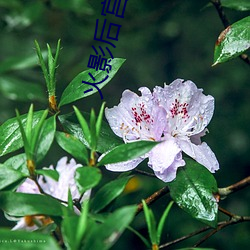 尊龙凯时-人生就是搏!