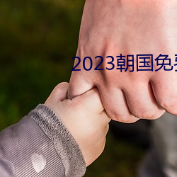 2023朝国免费理论 （胁肩低眉）