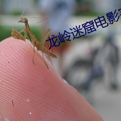龙岭迷窟电影完整版免费播