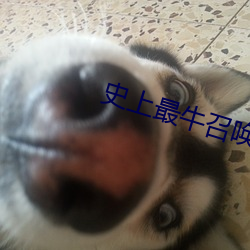 史上最牛召喚